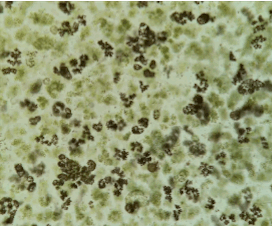 symbiont gif.gif