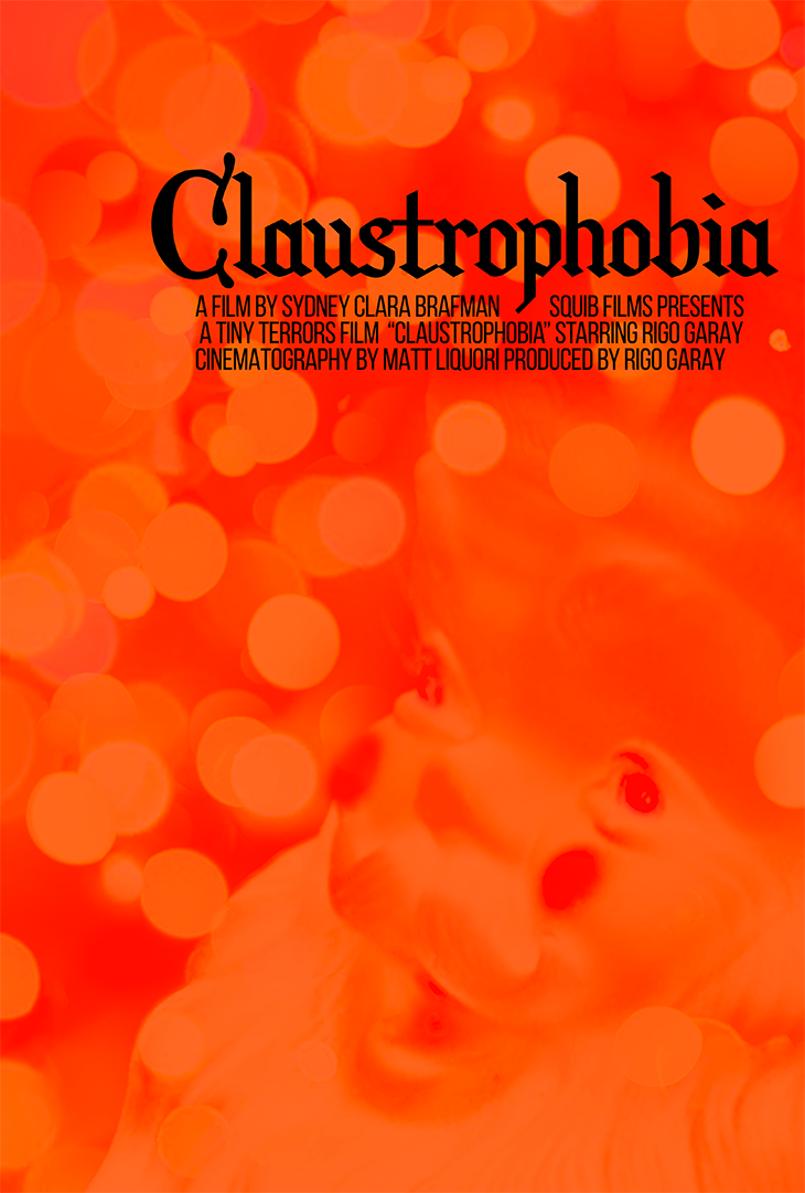claustrophobia_poster.png